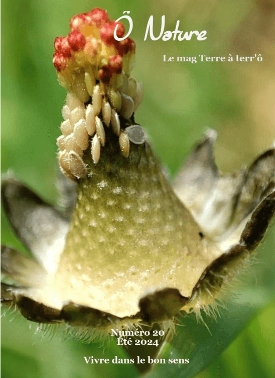 Couverture du webmagazine O Nature de Sandrine Bureau